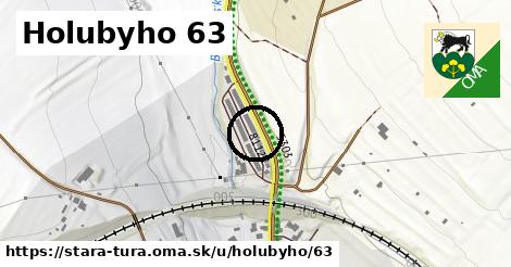 Holubyho 63, Stará Turá