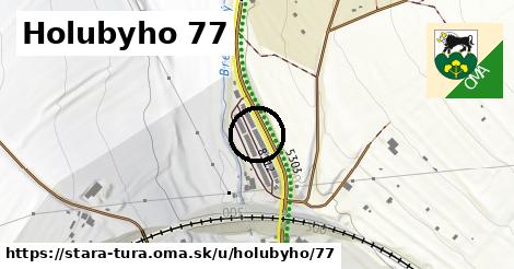 Holubyho 77, Stará Turá