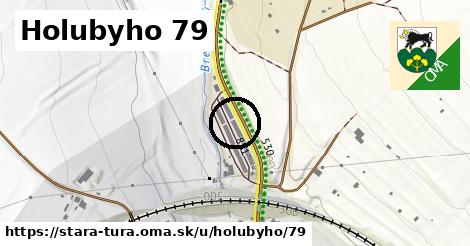 Holubyho 79, Stará Turá