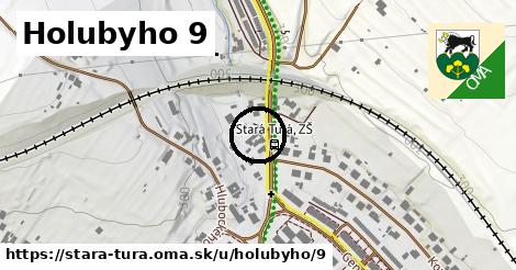 Holubyho 9, Stará Turá