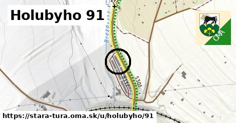 Holubyho 91, Stará Turá