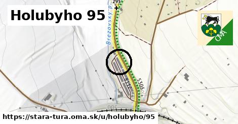 Holubyho 95, Stará Turá