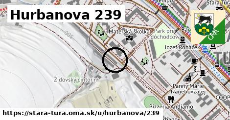 Hurbanova 239, Stará Turá