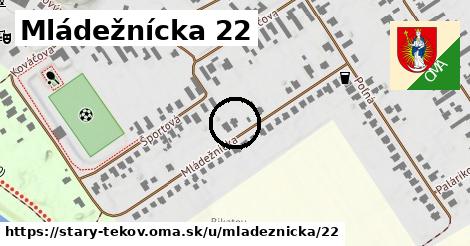 Mládežnícka 22, Starý Tekov