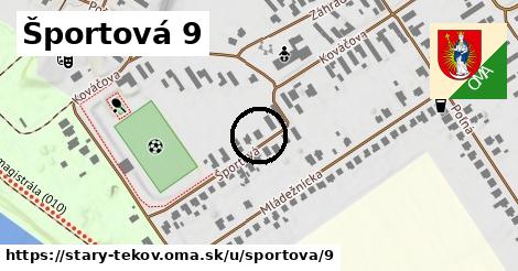 Športová 9, Starý Tekov