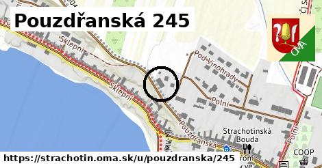 Pouzdřanská 245, Strachotín