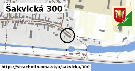 Šakvická 300, Strachotín