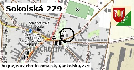 Sokolská 229, Strachotín
