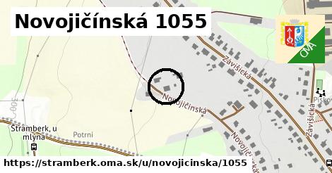 Novojičínská 1055, Štramberk