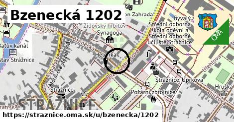 Bzenecká 1202, Strážnice