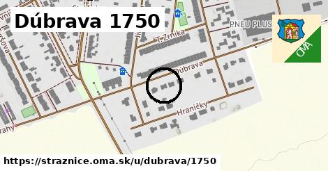 Dúbrava 1750, Strážnice