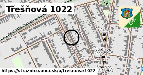 Třešňová 1022, Strážnice