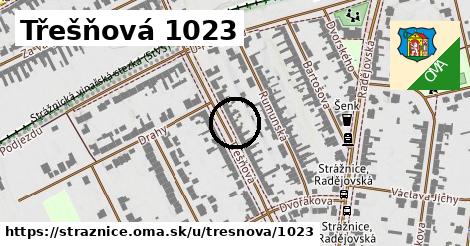 Třešňová 1023, Strážnice