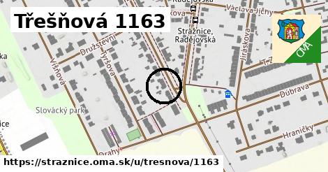 Třešňová 1163, Strážnice