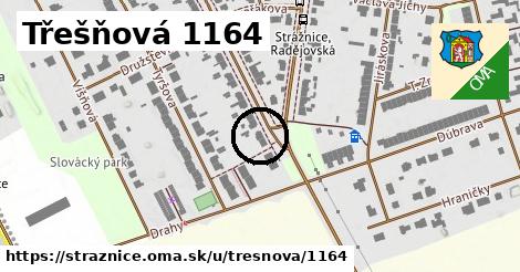 Třešňová 1164, Strážnice