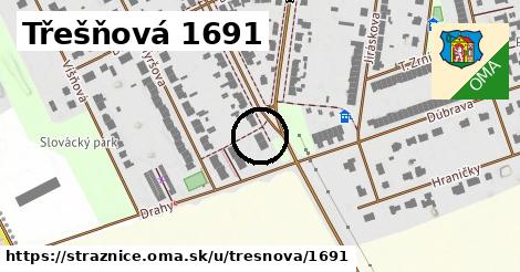Třešňová 1691, Strážnice