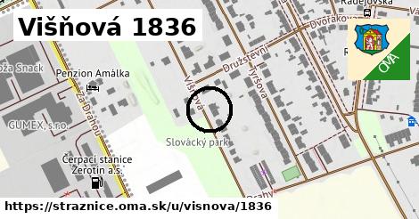 Višňová 1836, Strážnice