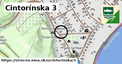 Cintorínska 3, Strečno