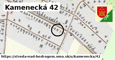 Kamenecká 42, Streda nad Bodrogom