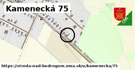 Kamenecká 75, Streda nad Bodrogom