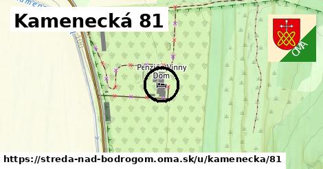 Kamenecká 81, Streda nad Bodrogom