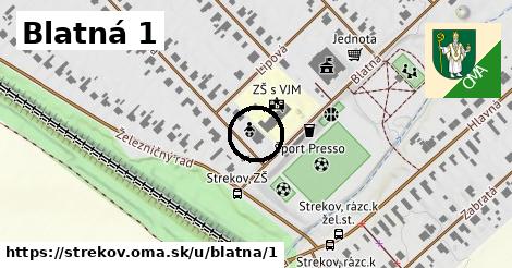 Blatná 1, Strekov