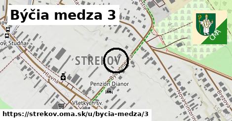 Býčia medza 3, Strekov