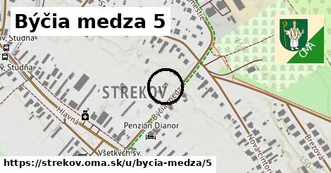 Býčia medza 5, Strekov