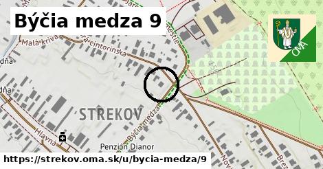 Býčia medza 9, Strekov