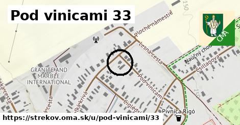 Pod vinicami 33, Strekov