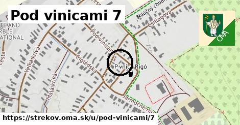 Pod vinicami 7, Strekov