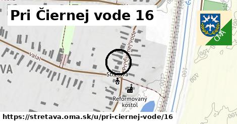 Pri Čiernej vode 16, Stretava