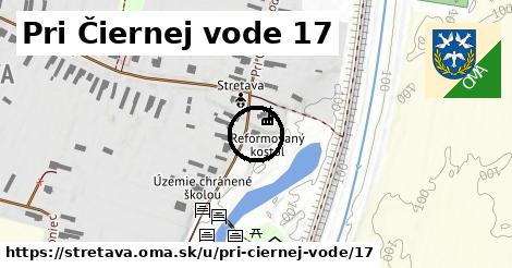 Pri Čiernej vode 17, Stretava