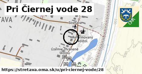 Pri Čiernej vode 28, Stretava