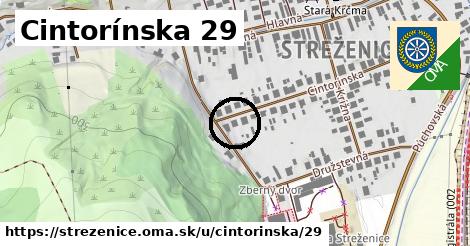 Cintorínska 29, Streženice