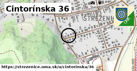 Cintorínska 36, Streženice