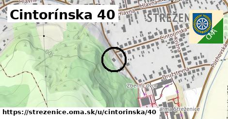 Cintorínska 40, Streženice