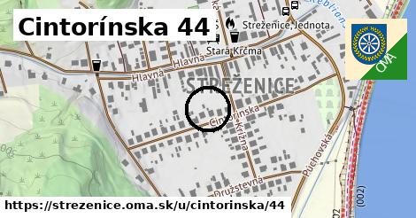 Cintorínska 44, Streženice