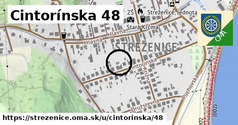 Cintorínska 48, Streženice