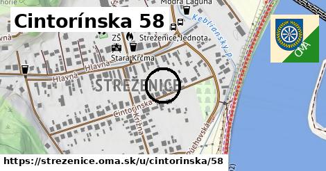 Cintorínska 58, Streženice