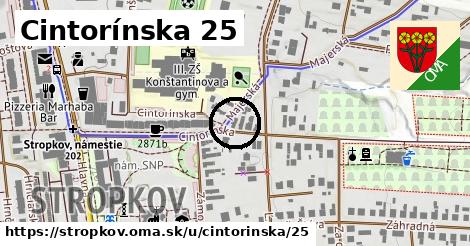 Cintorínska 25, Stropkov