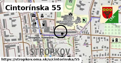 Cintorínska 55, Stropkov