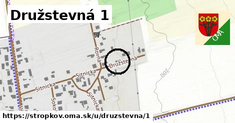 Družstevná 1, Stropkov