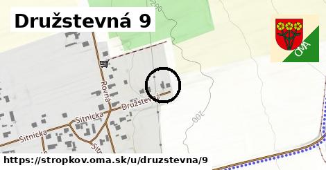 Družstevná 9, Stropkov