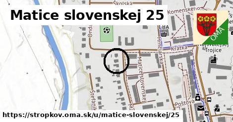 Matice slovenskej 25, Stropkov