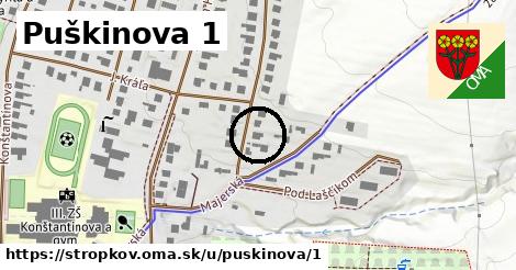 Puškinova 1, Stropkov