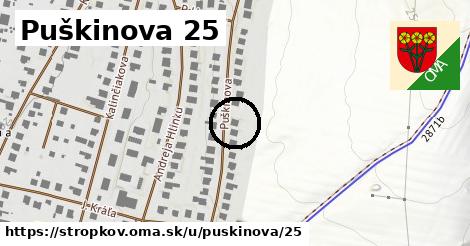 Puškinova 25, Stropkov