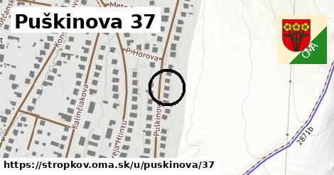 Puškinova 37, Stropkov