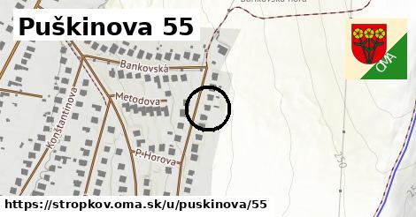 Puškinova 55, Stropkov