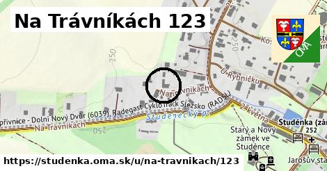 Na Trávníkách 123, Studénka